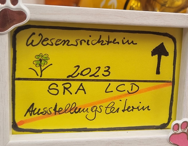 305603005_6039786709384157_8359550657003629836_n.jpg