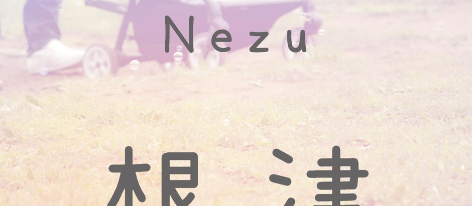 根津駅のエレベーター出入口