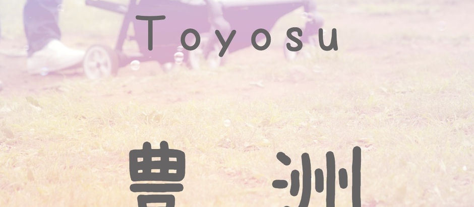 豊洲駅のエレベーター出入口