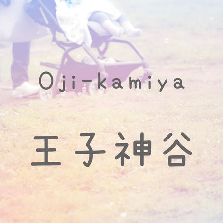王子神谷駅のエレベーター出入口