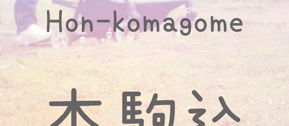 本駒込駅のエレベーター出入口