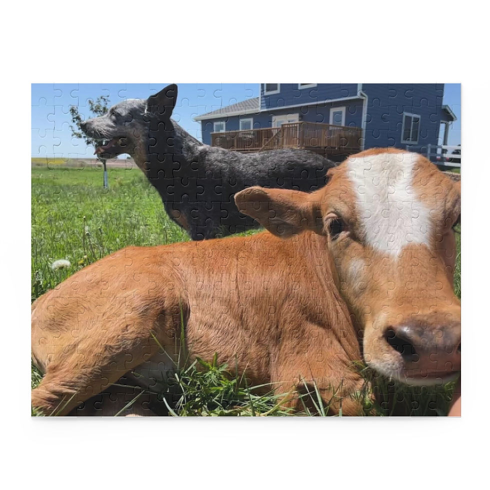 Thumbnail: Puzzle (120, 252, 500-Piece)