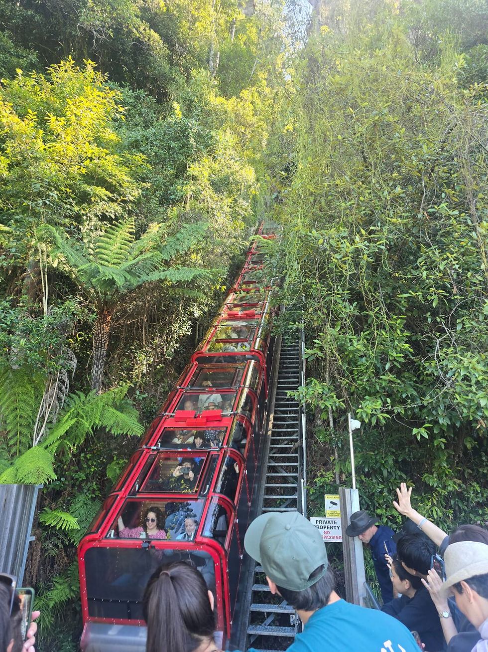 Scenic World