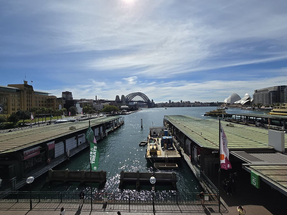 What to Do in Sydney in Summer: A Local Guide to the Best Things to See and Do (2026-2027)