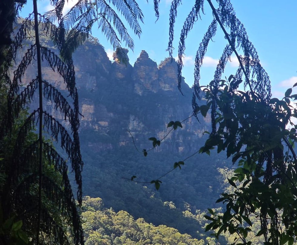 Blue Mountains (Montañas Azules): qué ver, qué hacer y cómo aprovechar una excursión de 1 día desde Sídney