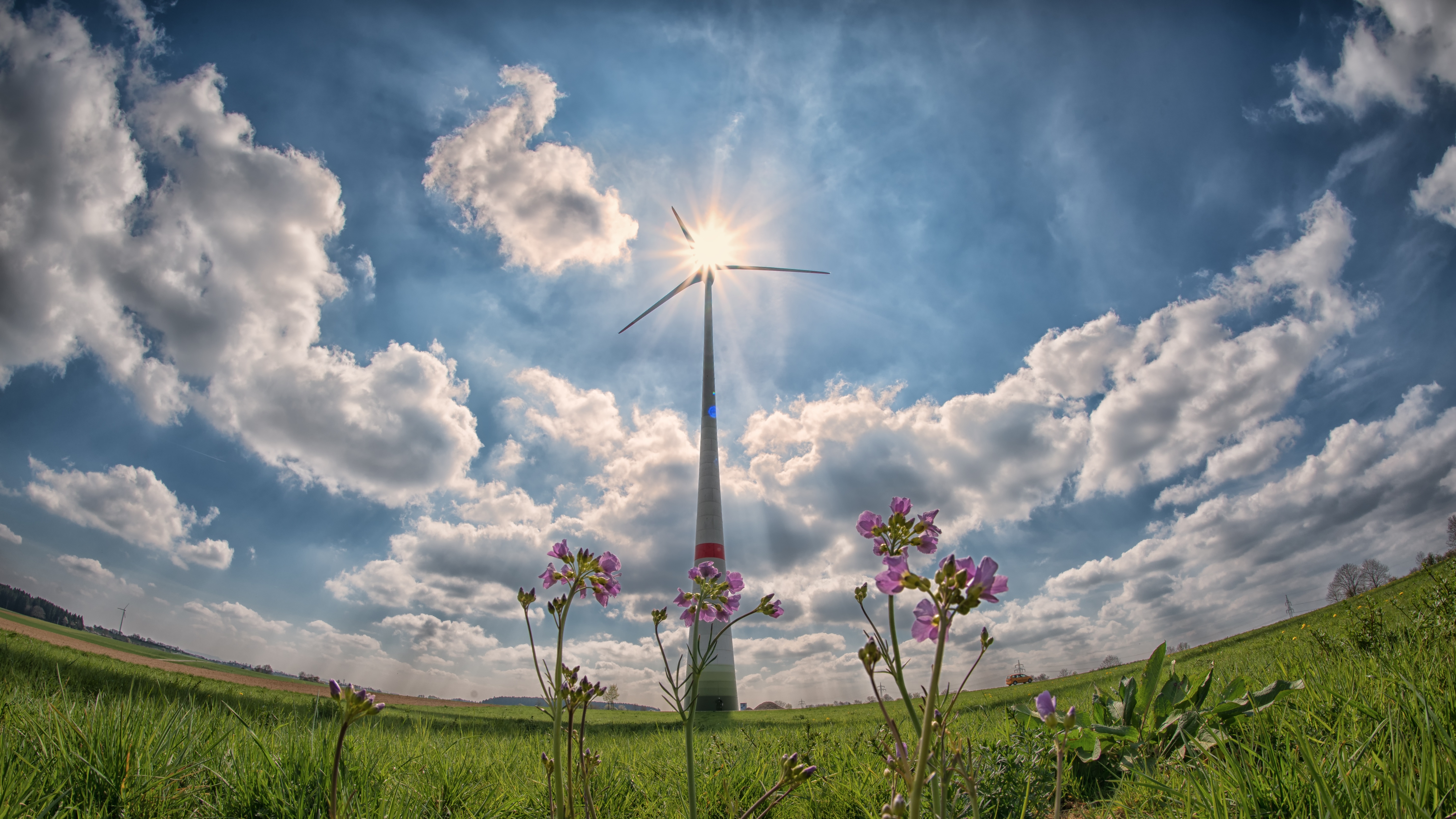 Go Carbon Neutral