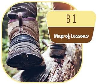 B1 map