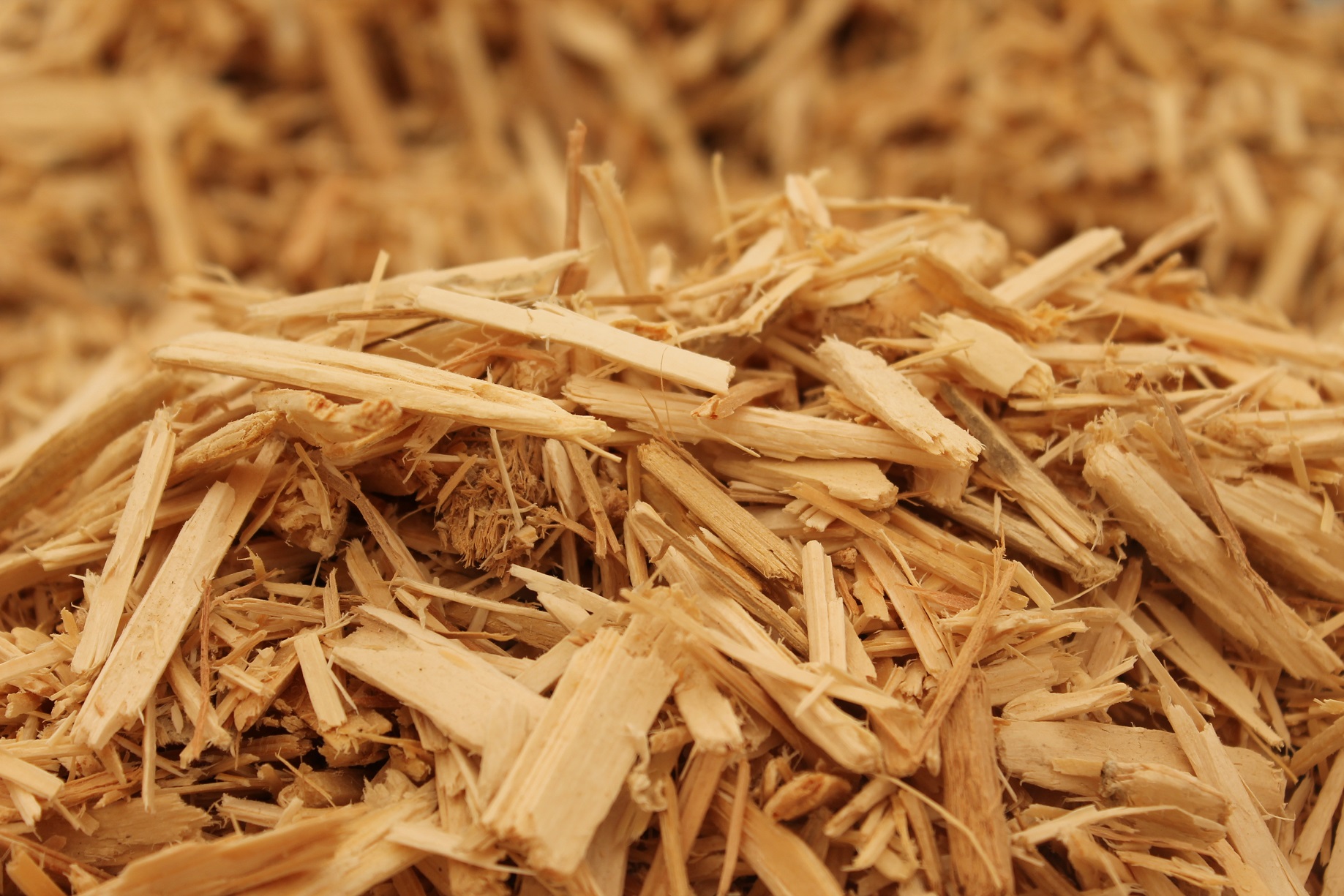Waste Wood?