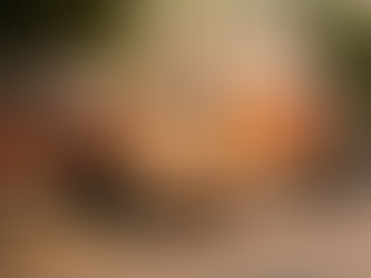 India sets aside $55m for municipal solid-waste based projects