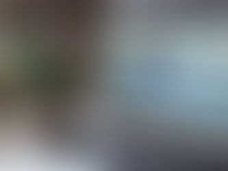 Facebook "LIKE" Renewables