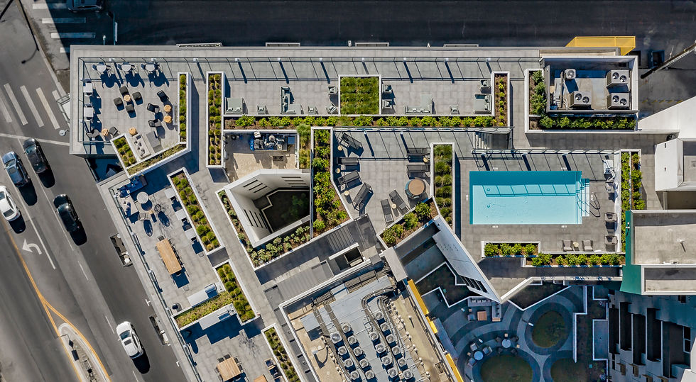 ROOF.jpg
