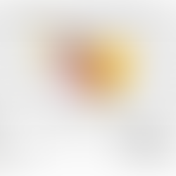 professora lUCIANA LIMA E COLABORADORAS PUBLICAM RELATÓRIO NO ZENODO