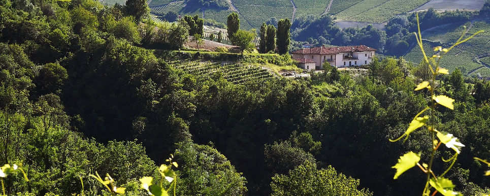 Cascina Albeta land.jpeg