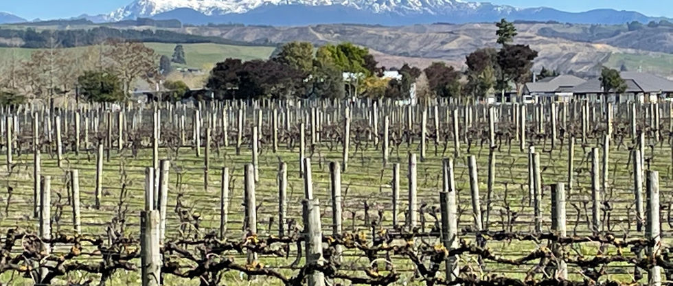 Brightwater Spring.jpg