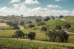 Paso Robles1.jpeg