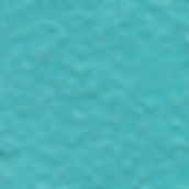 t Caribbean-Blue.jpeg