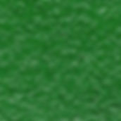 t Green.jpeg