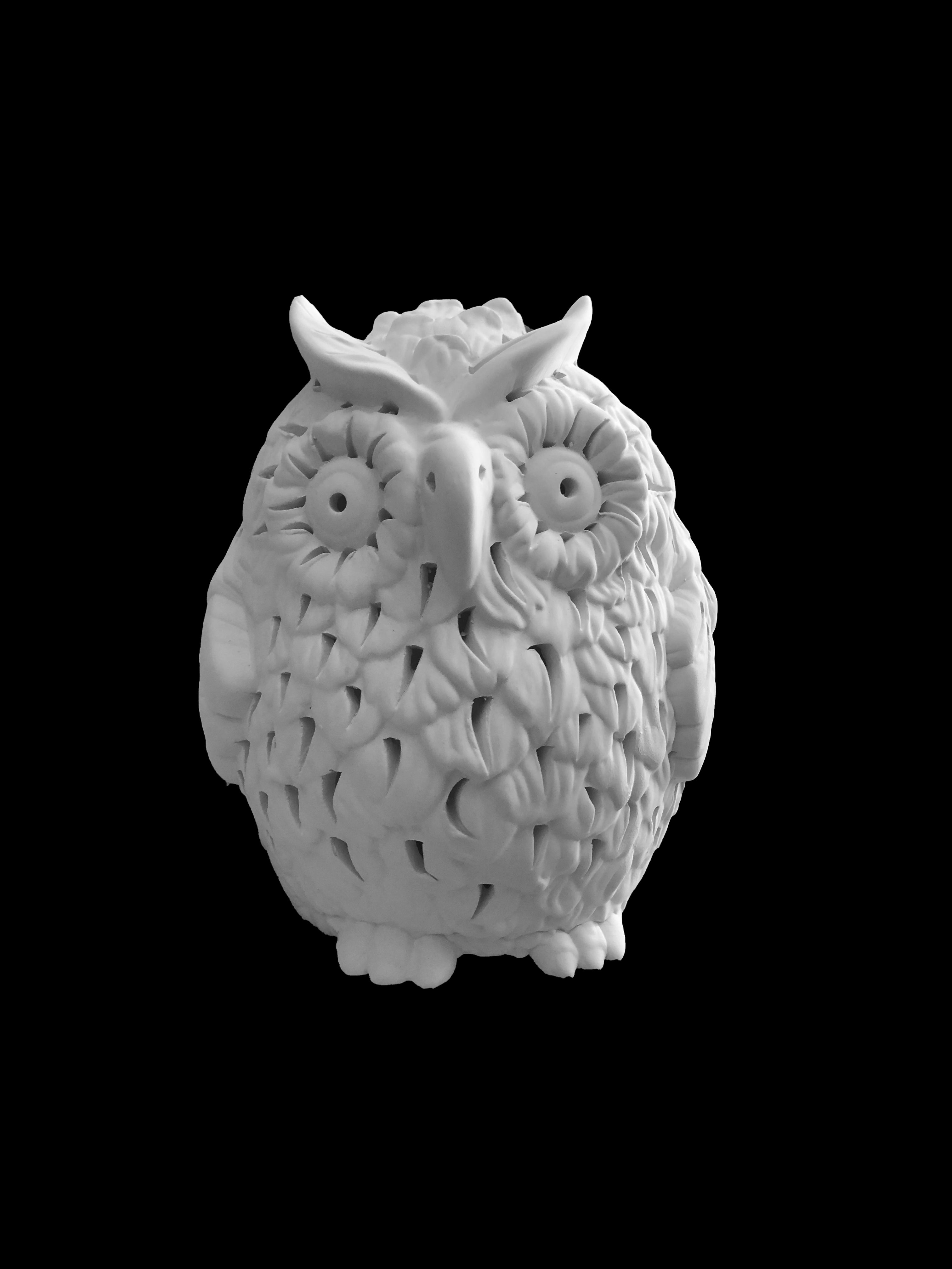 Civetta riccia media traforata