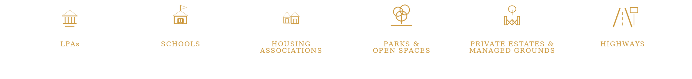Dendrology_Who_We_Work_For_Gold_Professional_Text_Transparent.png