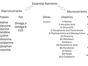 What is healthy eating for weight loss?