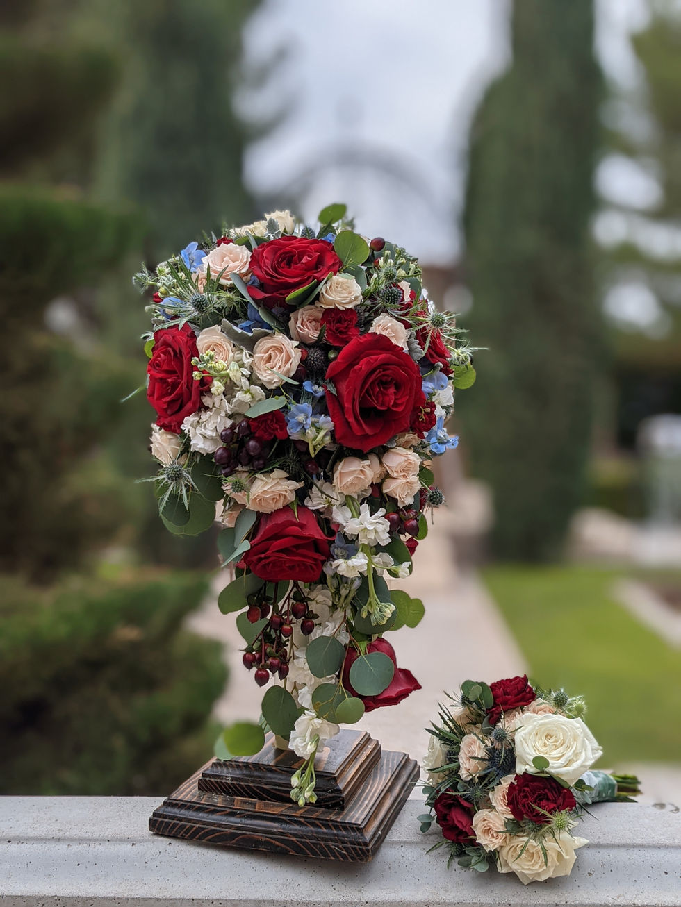 PXL_20220114_194906044.PORTRAIT