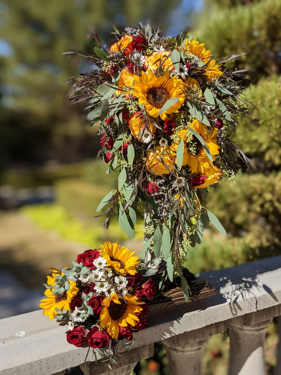 PXL_20201030_181028173.PORTRAIT-01.COVER