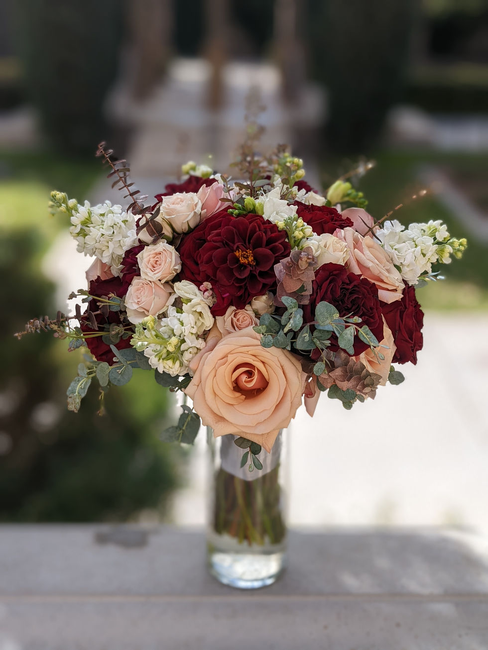 PXL_20220305_215413282.PORTRAIT