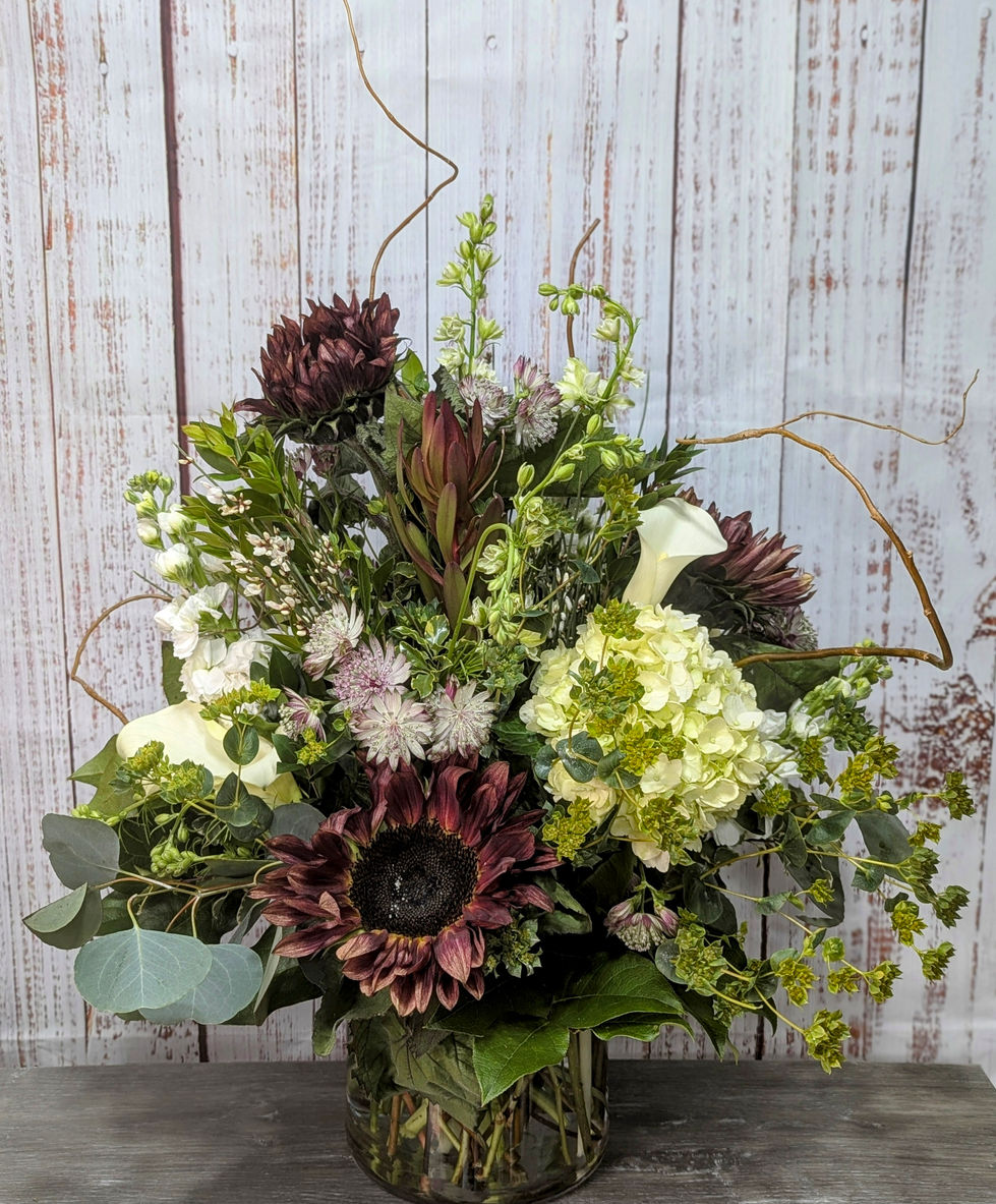 PXL_20250107_210148432.PORTRAIT~2