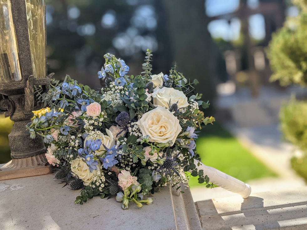 PXL_20210305_220436163.PORTRAIT