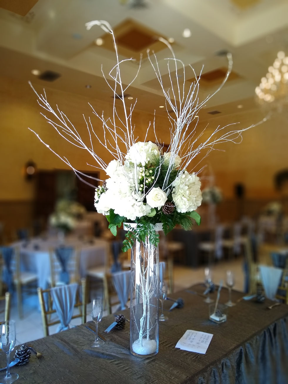 IMG_20200118_141631565_PORTRAIT