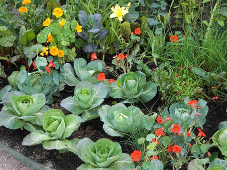 Grounds Maintenance Operative Required