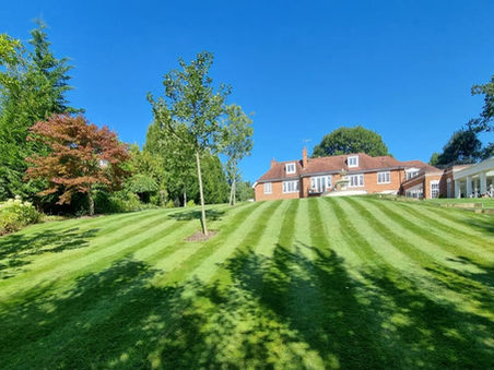 Caring for your lawn (when the weather is hot!)