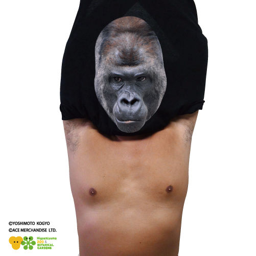 イケメンゴリラ シャバーニ のスペシャルコラボレーション