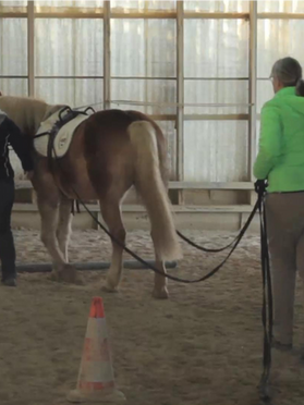 Leadership, growth with horses