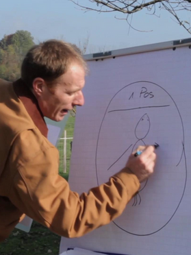 Leadership with horses Switzerland Colorado