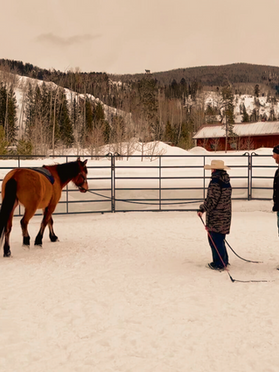 Youth Steamboat Springs Colorado
