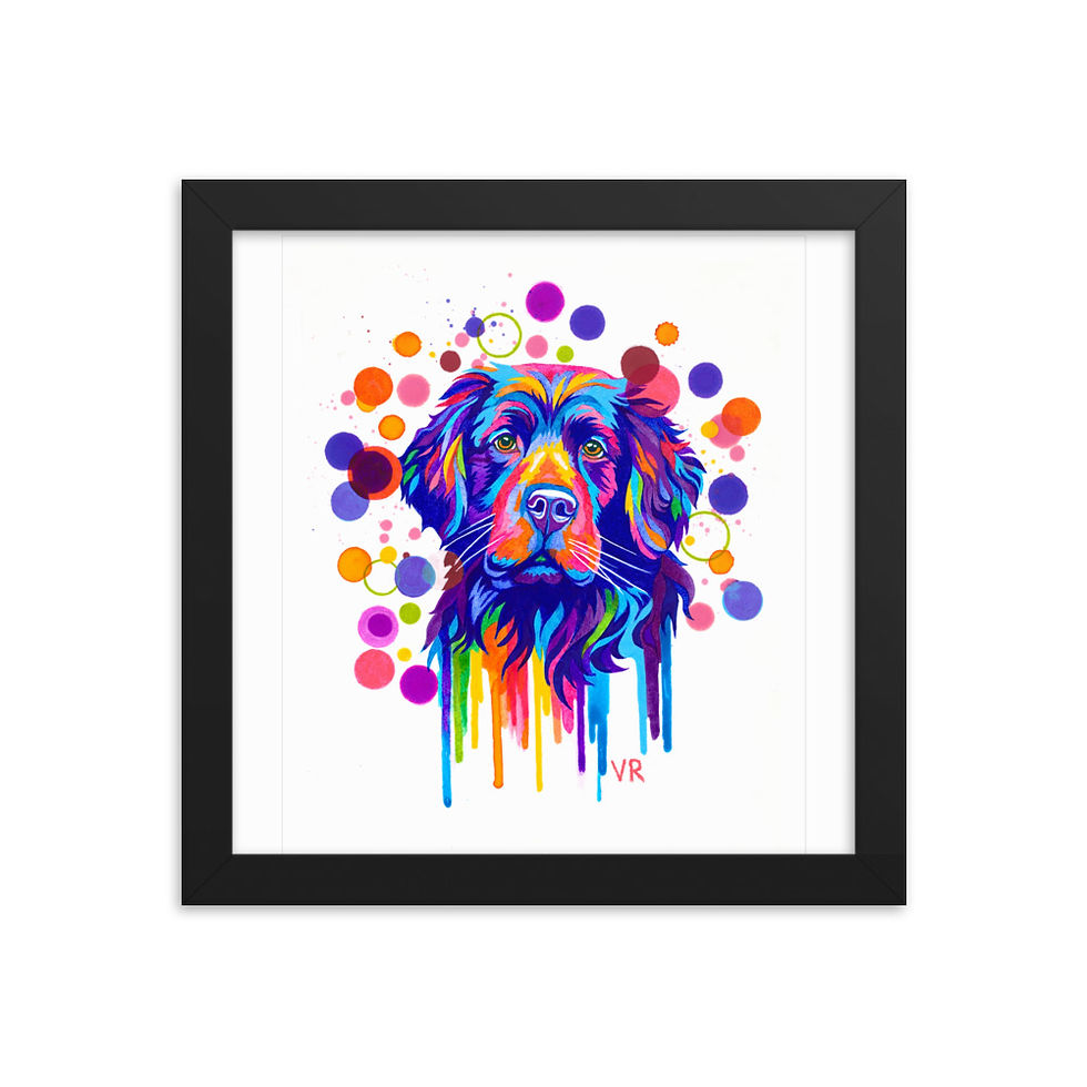 Thumbnail: Bernese Mountain Dog | Framed poster