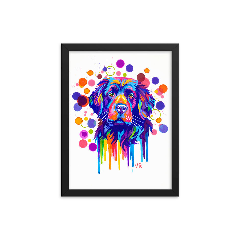 Thumbnail: Bernese Mountain Dog | Framed poster