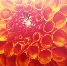 Red Flower (with Lava Flow).jpg