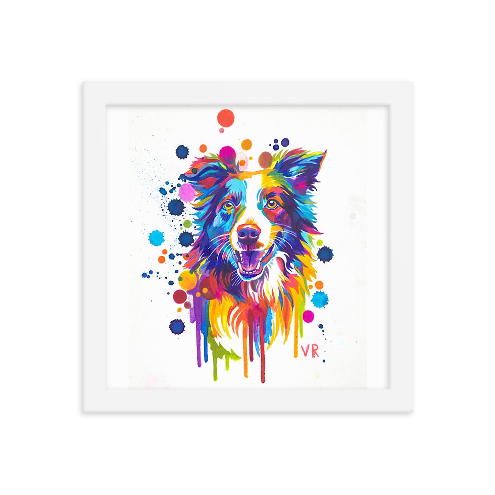 Thumbnail: Border Collie | Framed poster