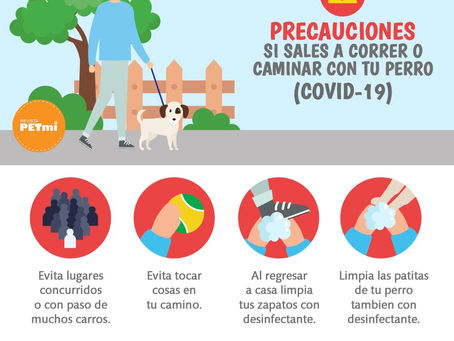 ¿Puedo salir a correr o caminar con mi perro durante la cuarentena de COVID-19?