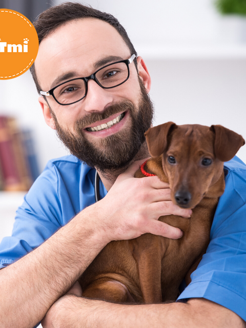 Glándulas Adanales (1)