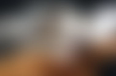 NOVEDOSO: Perrito de peluche para resolver problemas de conducta en cachorros y adultos