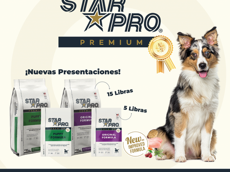 Sonrisas en Crecimiento: Los Dientes de Leche en Cachorros