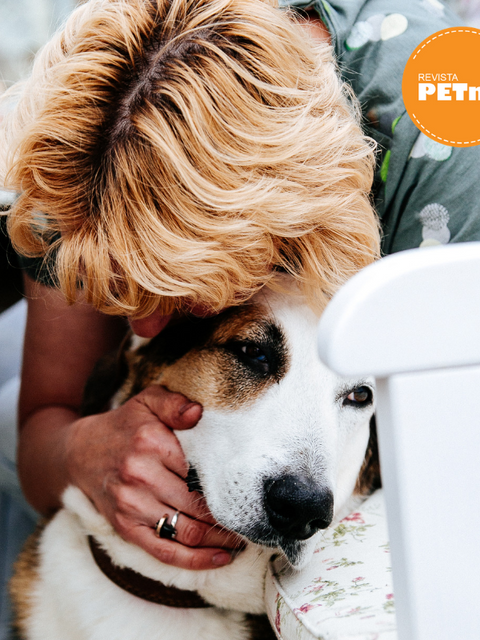 La muerte de una mascota , puedo tener otra en casa