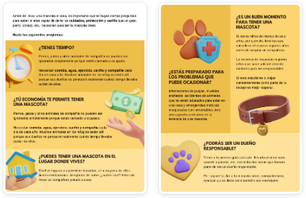 Mi mascota ideal. Cosas importantes a tomar en cuenta.