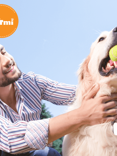 ¿Porque buscar un novio que tenga un perro_ (3) (1)