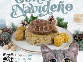 Adopté una mascota…¿Y ahora qué?