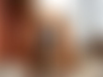 La familia Basset Hound Guatemala