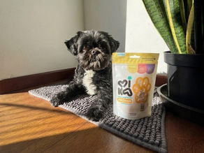 Mika Treats para perros y gatos: una historia que nació del amor por Mika